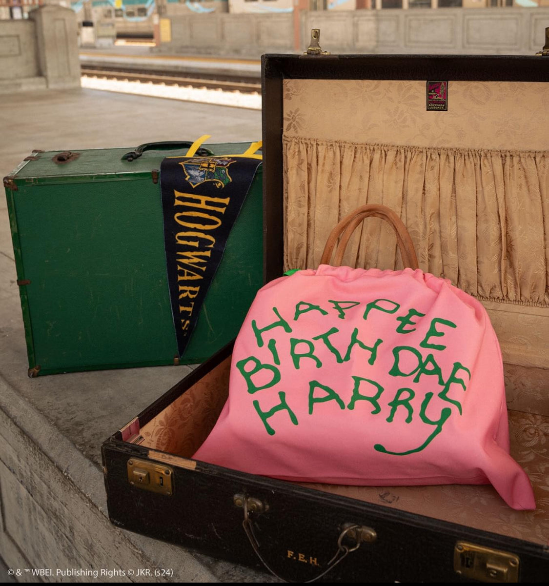 Harveys - Dust Bag / Harry Potter - New